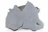 Gebel Kamil Iron Meteorite Slice ( g) - Egypt #284541-1